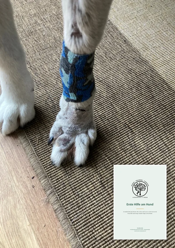 Hundepfote mit Verband, daneben der Leitfaden Erste Hilfe am Hund