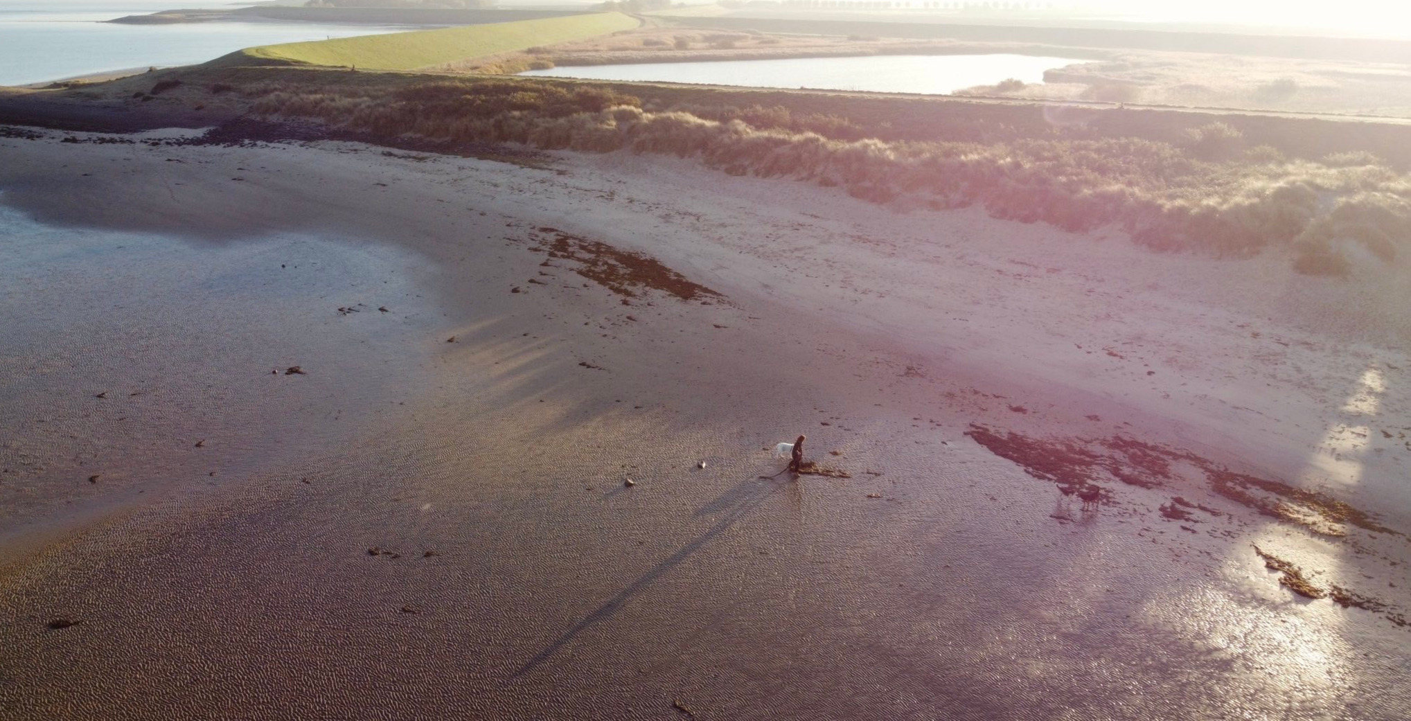 Hund und Mensch am Strand